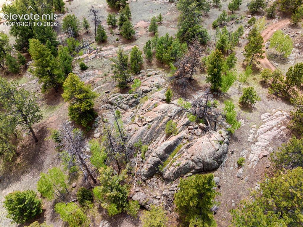 527 Plateau Drive Guffey CO 80820