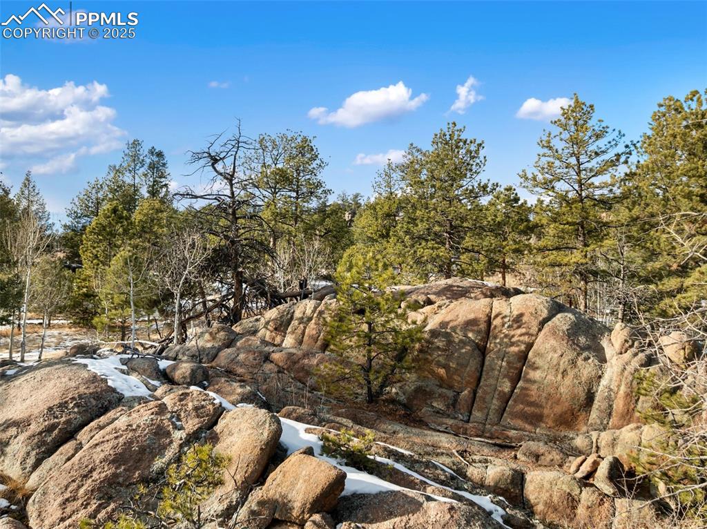 527 Plateau Drive Guffey CO 80820