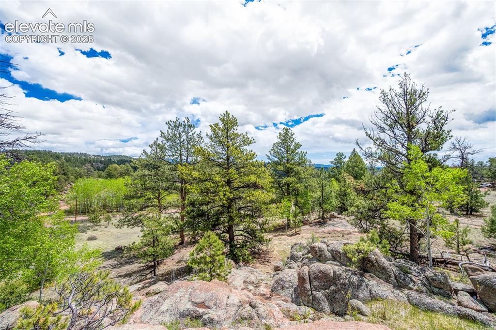 527 Plateau Drive Guffey CO 80820