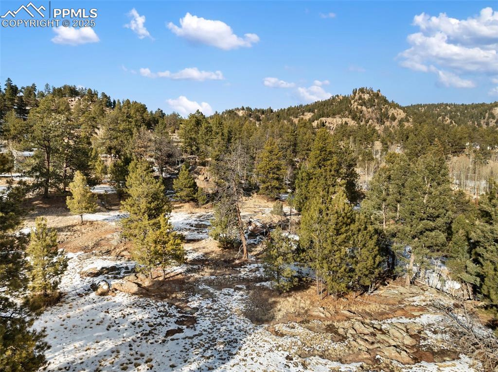 527 Plateau Drive Guffey CO 80820