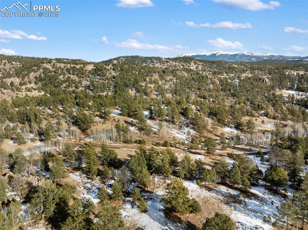 527 Plateau Drive Guffey CO 80820