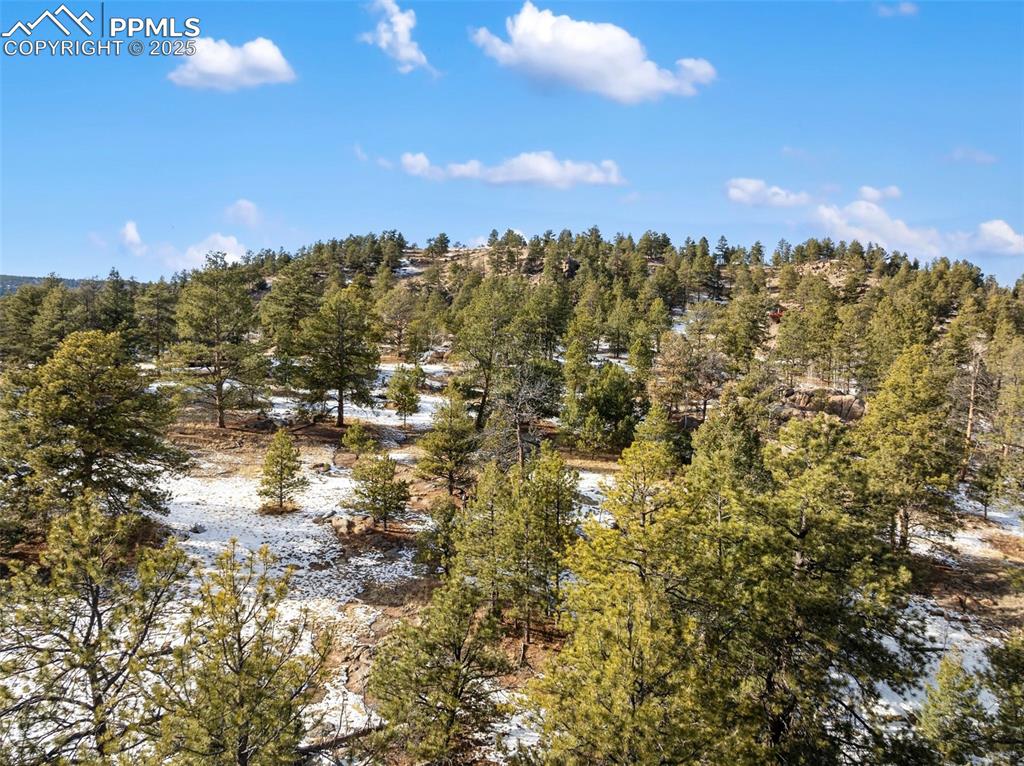 527 Plateau Drive Guffey CO 80820