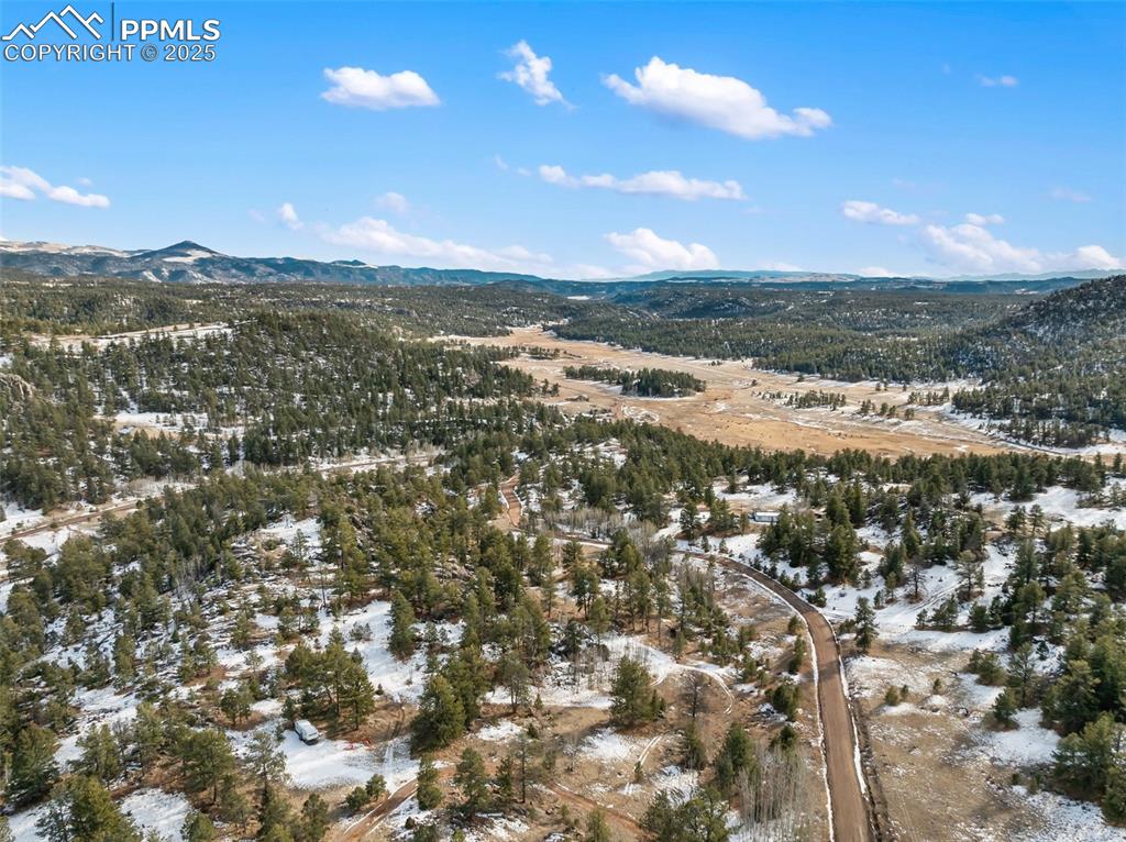 527 Plateau Drive Guffey CO 80820