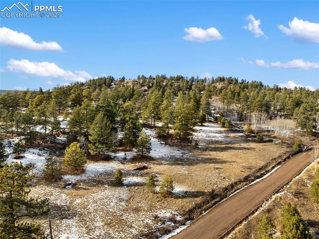 527 Plateau Drive Guffey CO 80820