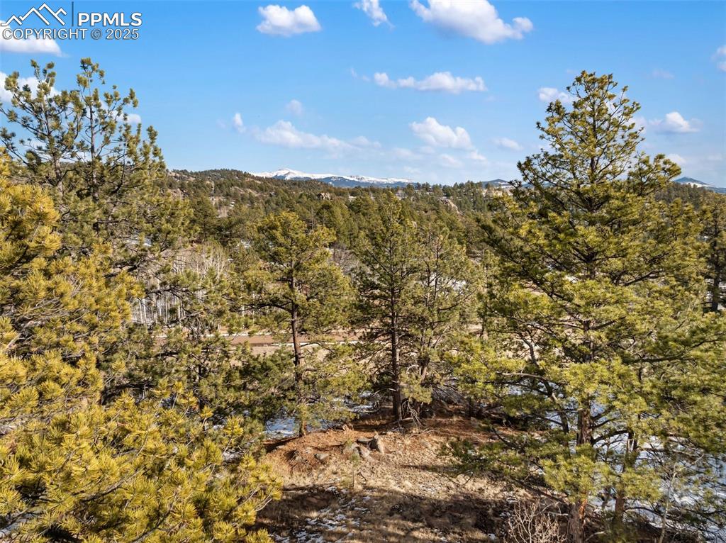 527 Plateau Drive Guffey CO 80820