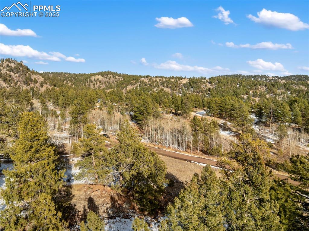 527 Plateau Drive Guffey CO 80820