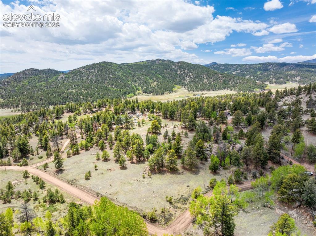 527 Plateau Drive Guffey CO 80820