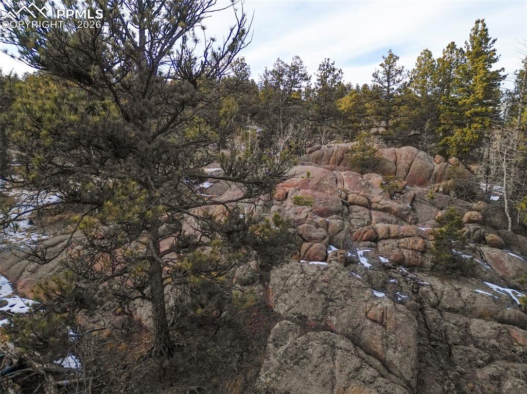 527 Plateau Drive Guffey CO 80820