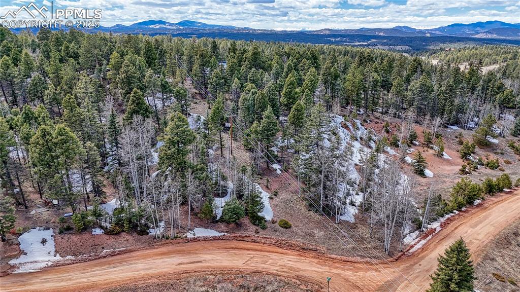 244 Spring Valley Lane Florissant CO 80816