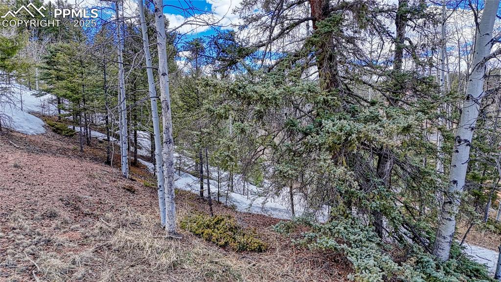 244 Spring Valley Lane Florissant CO 80816