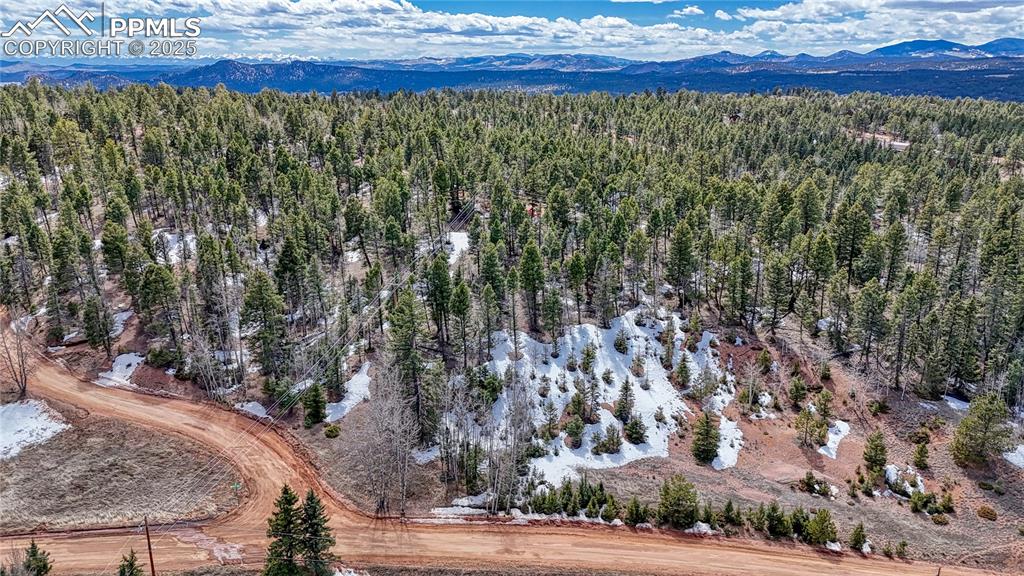 244 Spring Valley Lane Florissant CO 80816