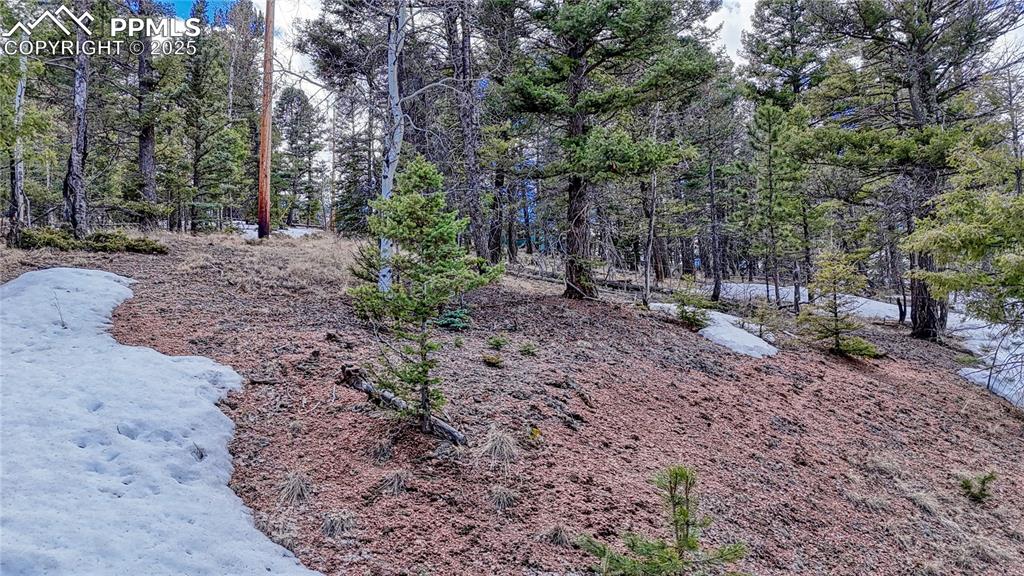 244 Spring Valley Lane Florissant CO 80816