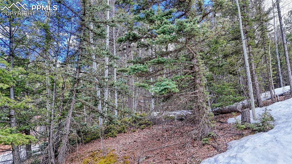 244 Spring Valley Lane Florissant CO 80816