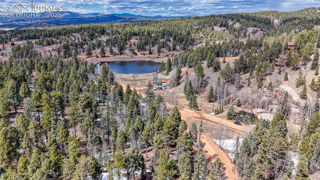 244 Spring Valley Lane Florissant CO 80816