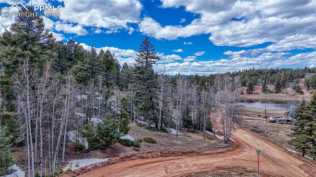 244 Spring Valley Lane Florissant CO 80816