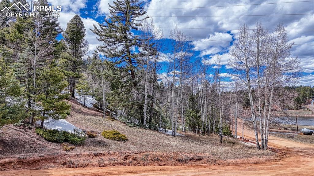 244 Spring Valley Lane Florissant CO 80816