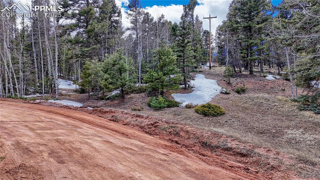 244 Spring Valley Lane Florissant CO 80816