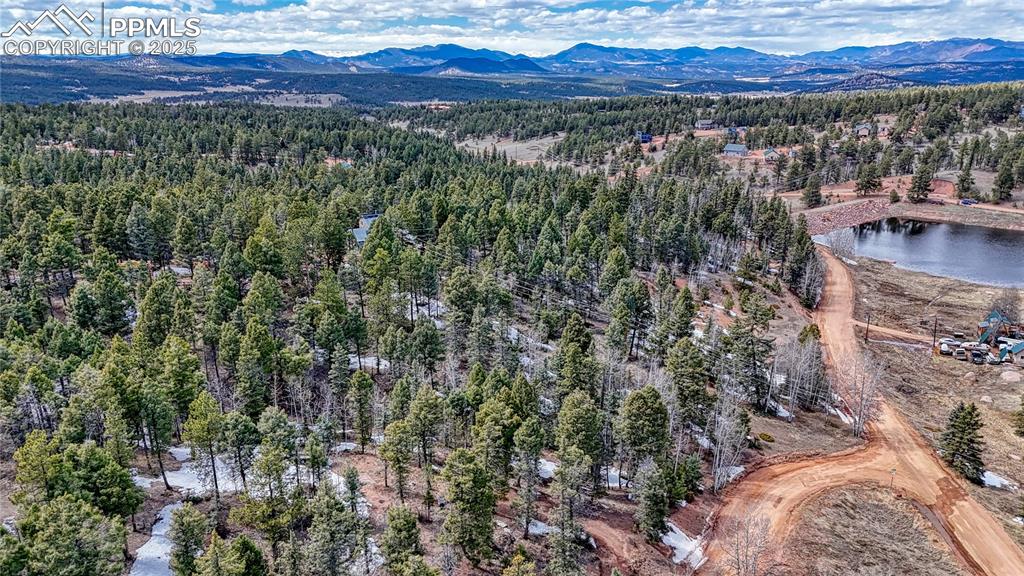 244 Spring Valley Lane Florissant CO 80816