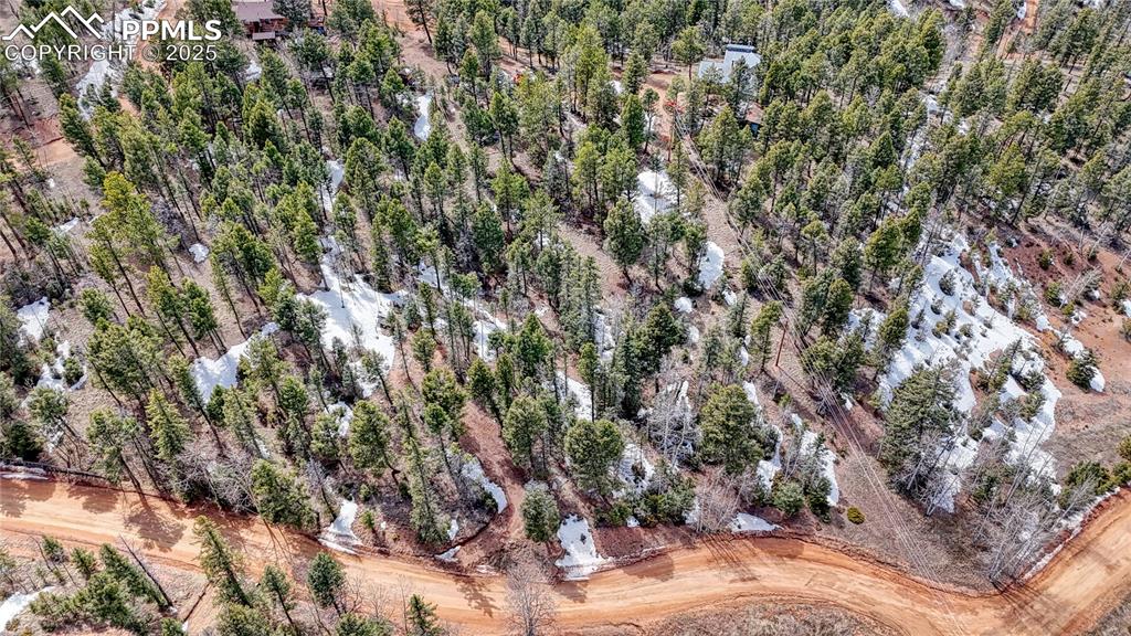 244 Spring Valley Lane Florissant CO 80816