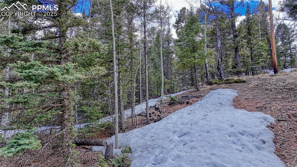 244 Spring Valley Lane Florissant CO 80816