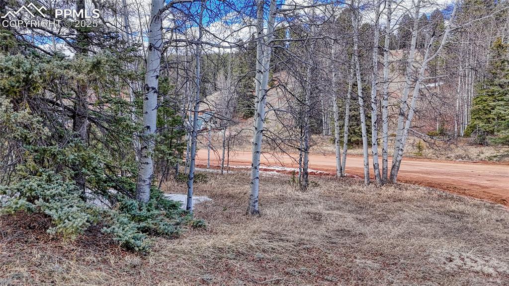244 Spring Valley Lane Florissant CO 80816