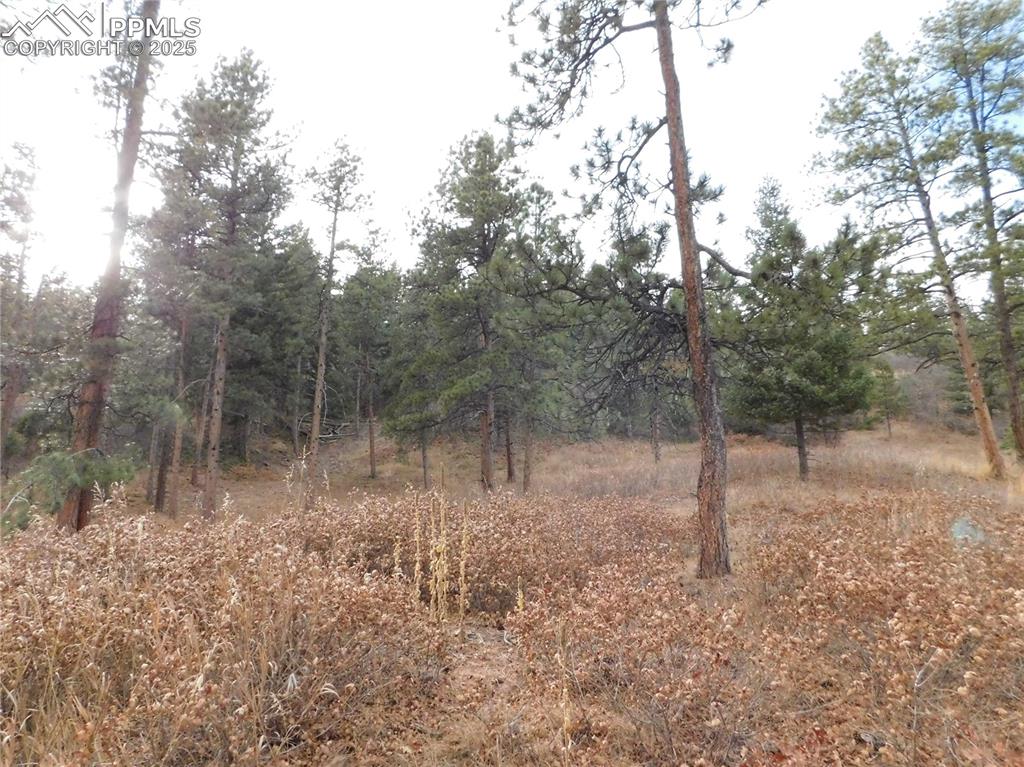 8055 Acoma Drive Larkspur CO 80118
