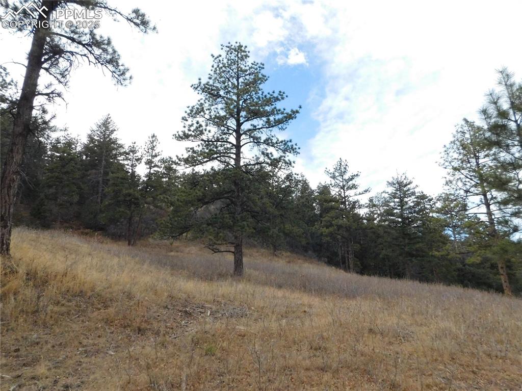 8055 Acoma Drive Larkspur CO 80118