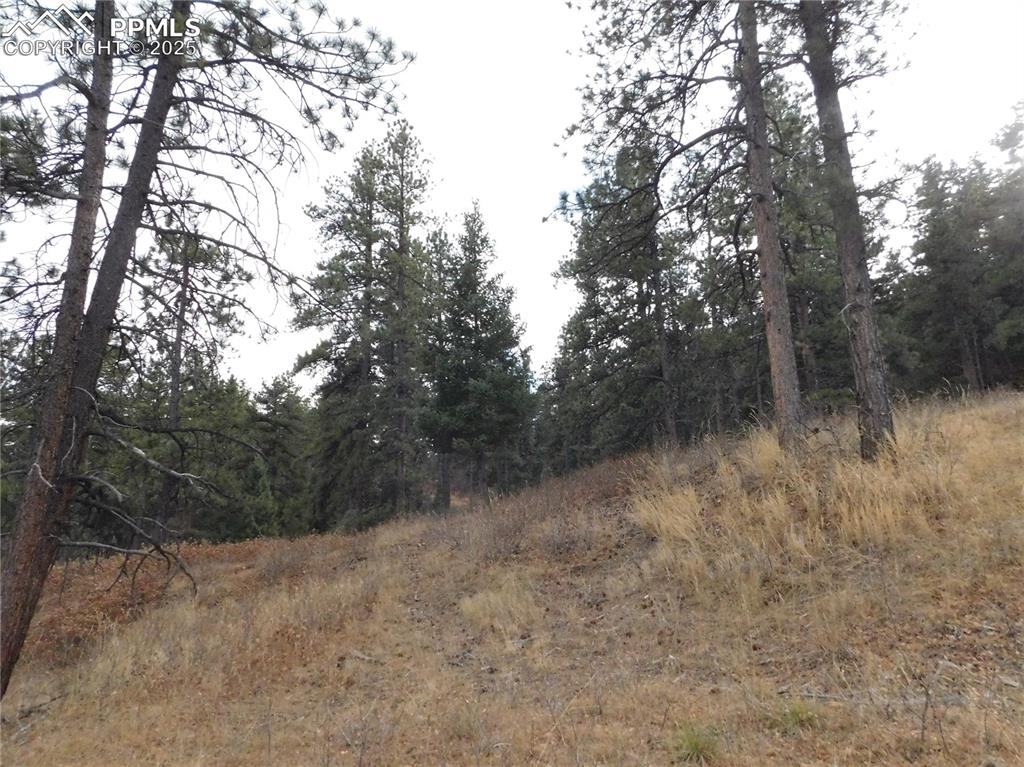8055 Acoma Drive Larkspur CO 80118