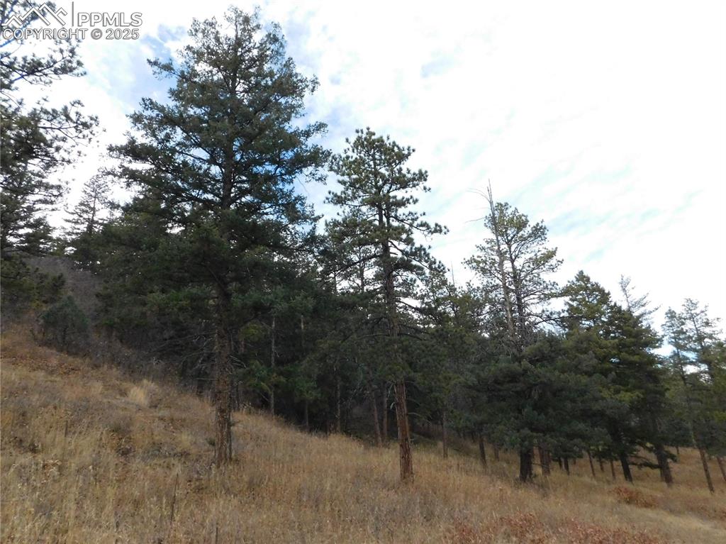 8055 Acoma Drive Larkspur CO 80118