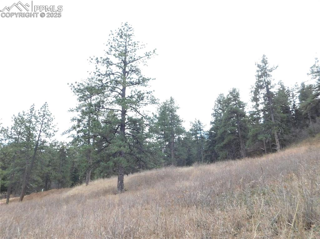 8055 Acoma Drive Larkspur CO 80118