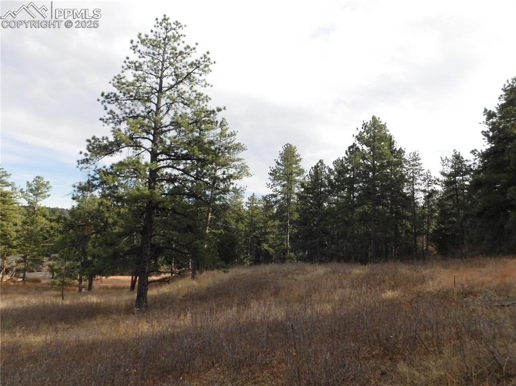 8055 Acoma Drive Larkspur CO 80118