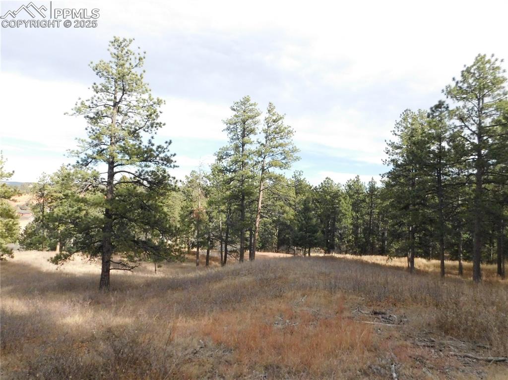 8055 Acoma Drive Larkspur CO 80118