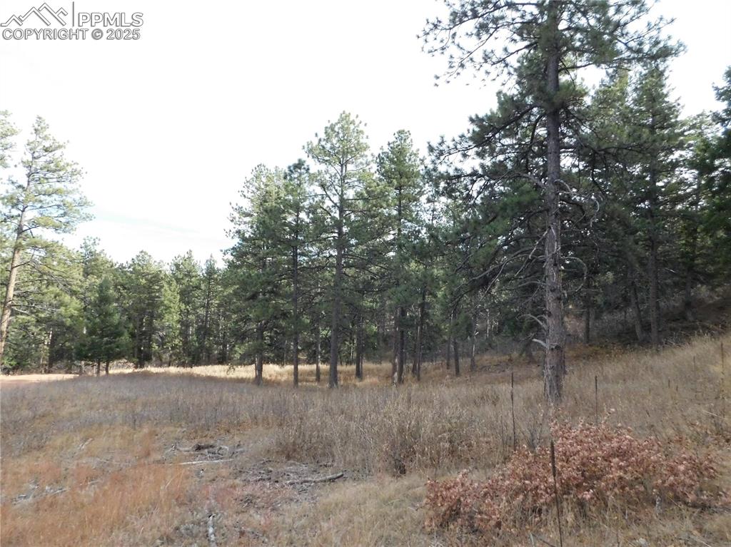 8055 Acoma Drive Larkspur CO 80118