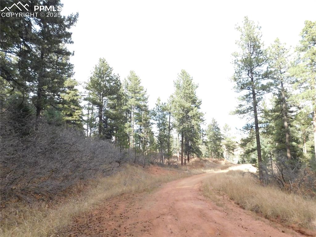 8055 Acoma Drive Larkspur CO 80118