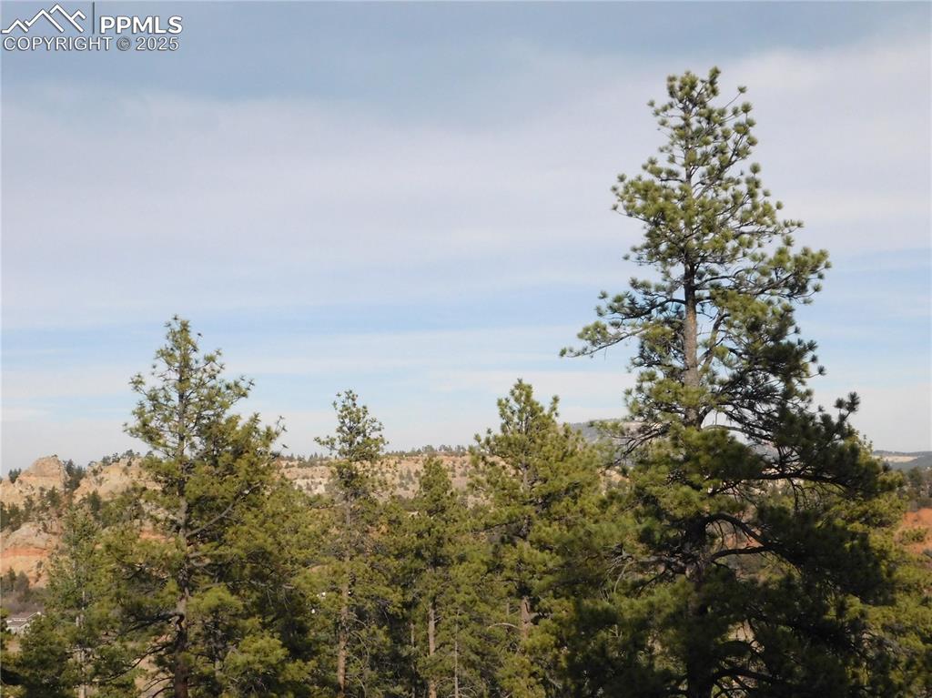 8055 Acoma Drive Larkspur CO 80118
