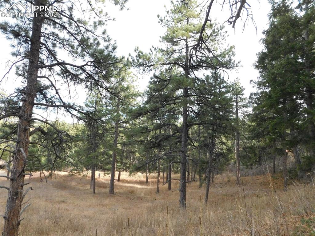 8055 Acoma Drive Larkspur CO 80118