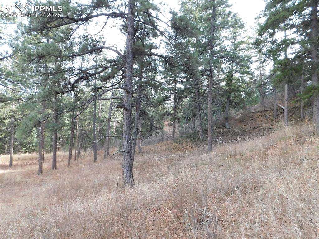 8055 Acoma Drive Larkspur CO 80118