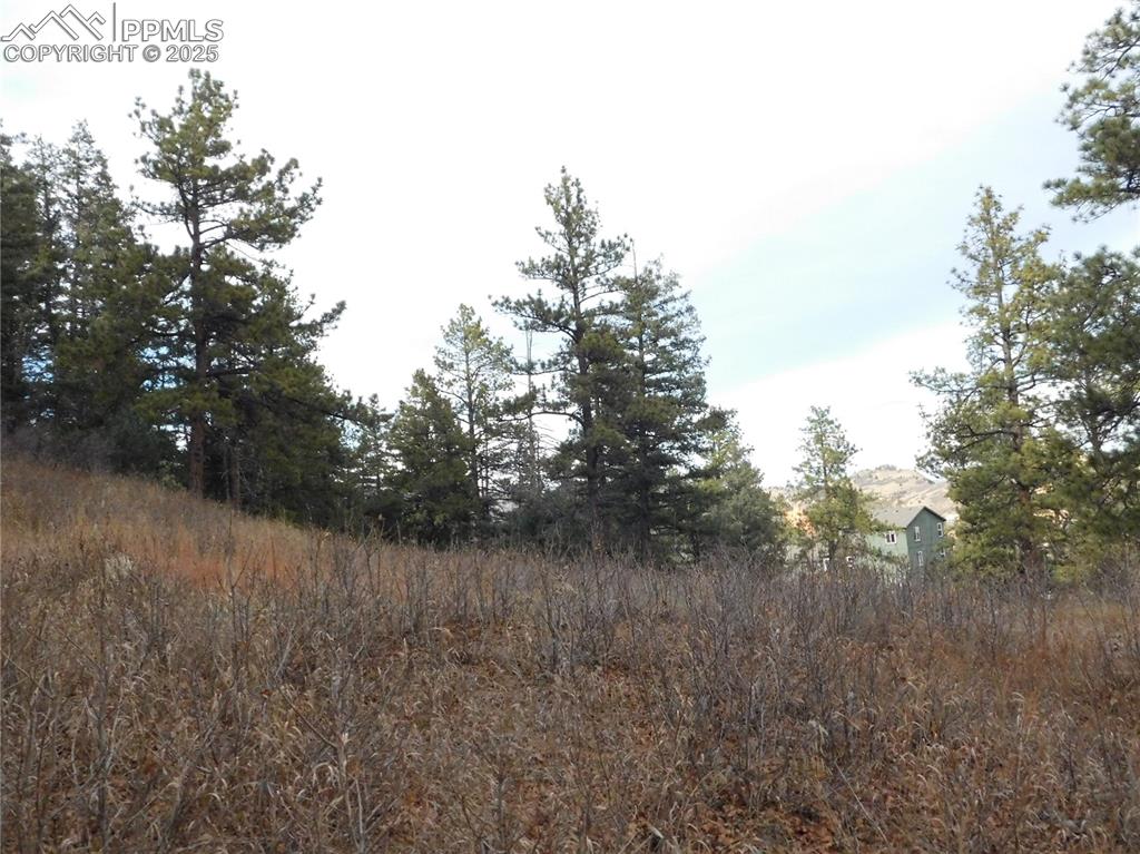 8055 Acoma Drive Larkspur CO 80118