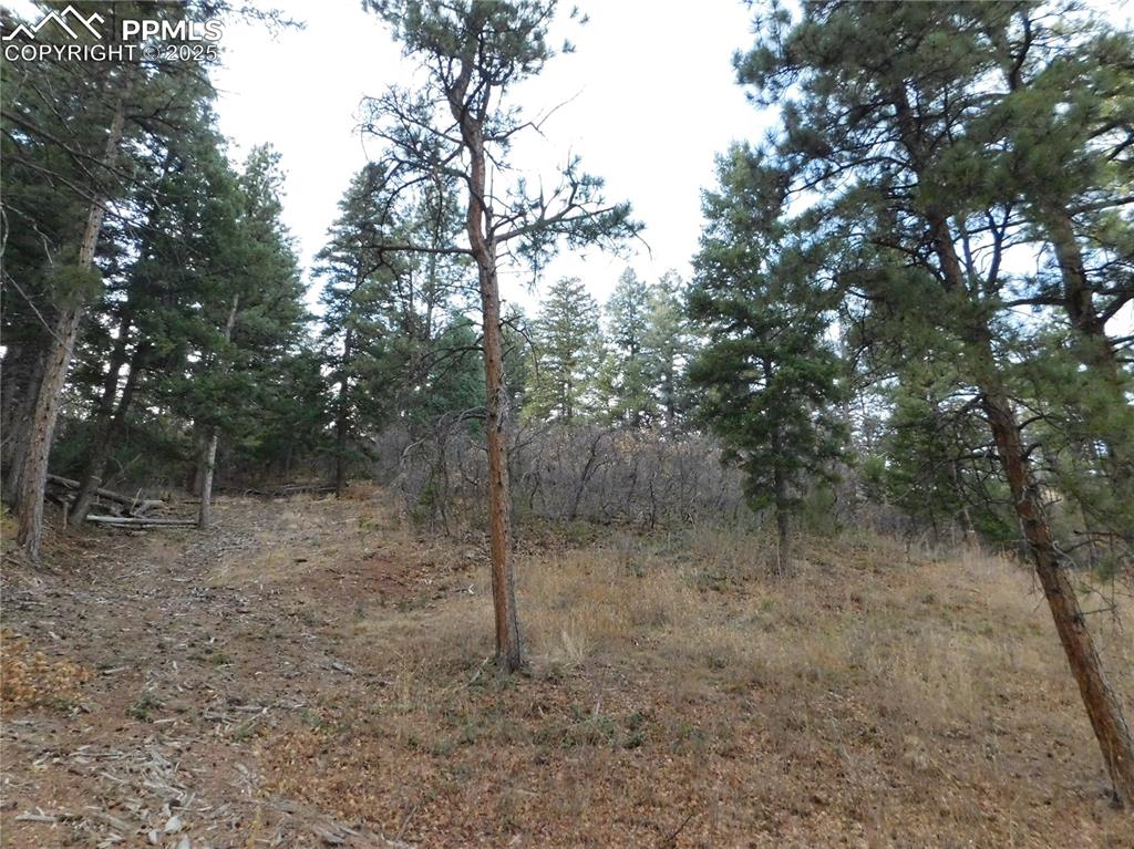 8055 Acoma Drive Larkspur CO 80118