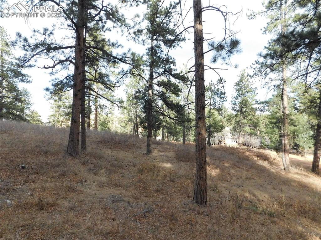 8055 Acoma Drive Larkspur CO 80118