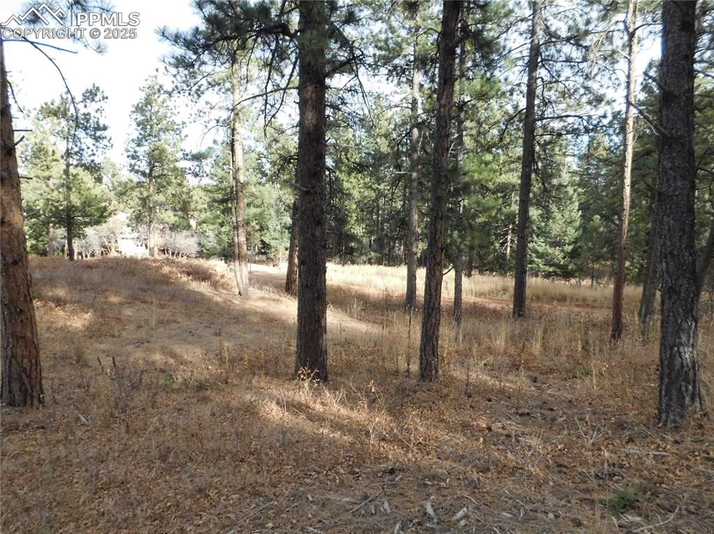8055 Acoma Drive Larkspur CO 80118