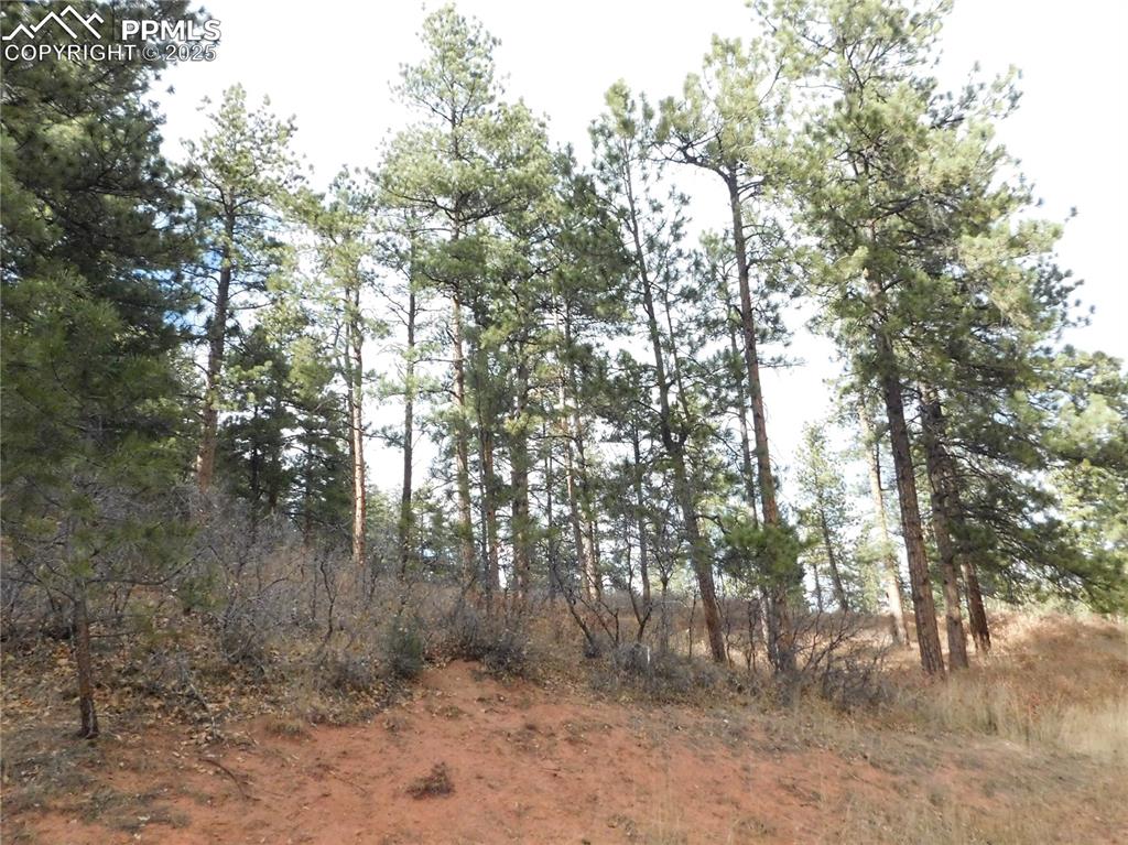 8055 Acoma Drive Larkspur CO 80118