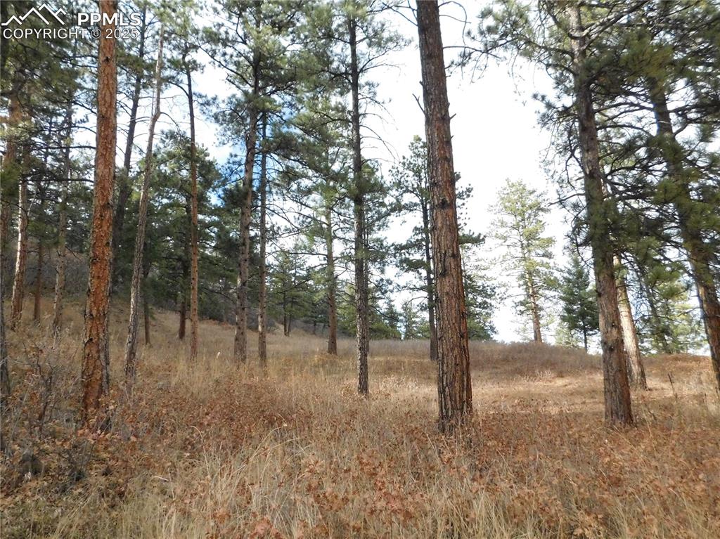8055 Acoma Drive Larkspur CO 80118