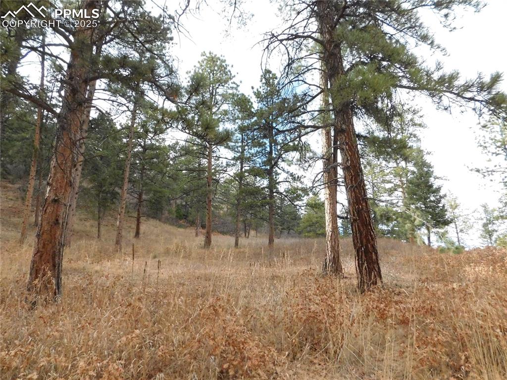 8055 Acoma Drive Larkspur CO 80118