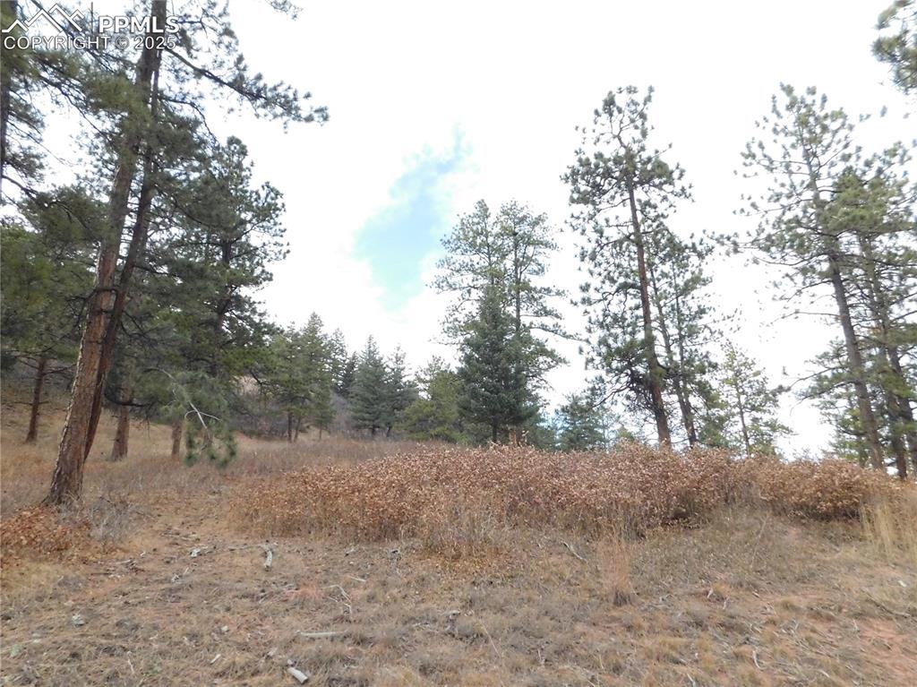 8055 Acoma Drive Larkspur CO 80118