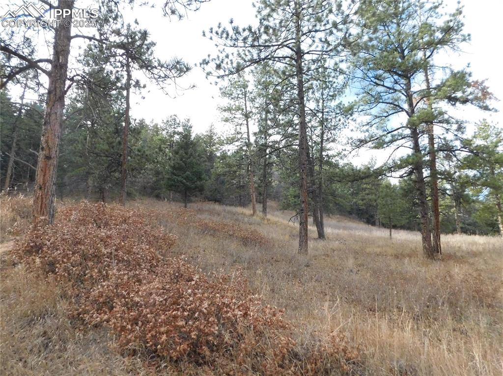 8055 Acoma Drive Larkspur CO 80118