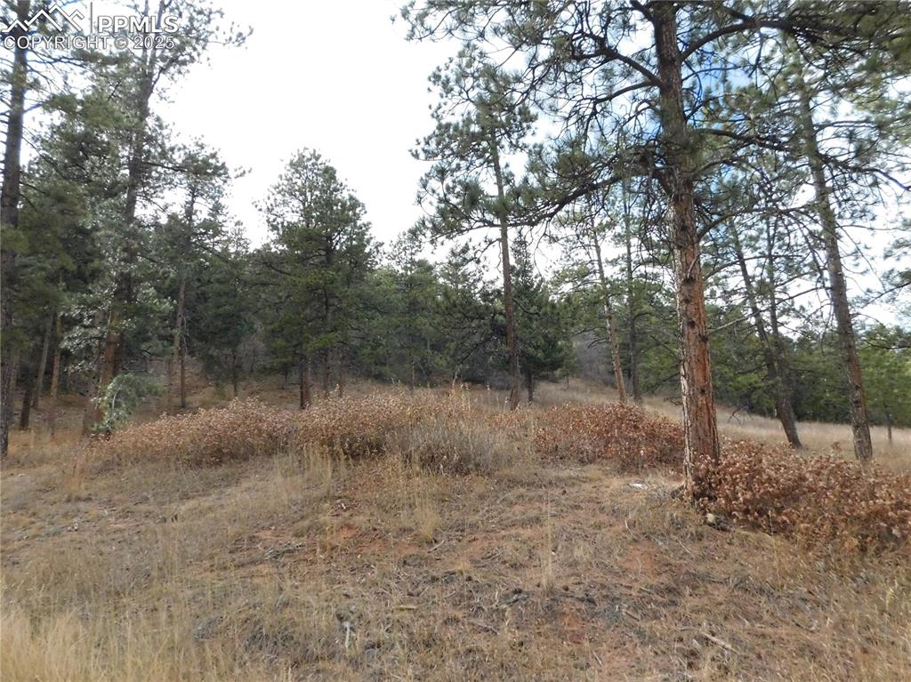 8055 Acoma Drive Larkspur CO 80118