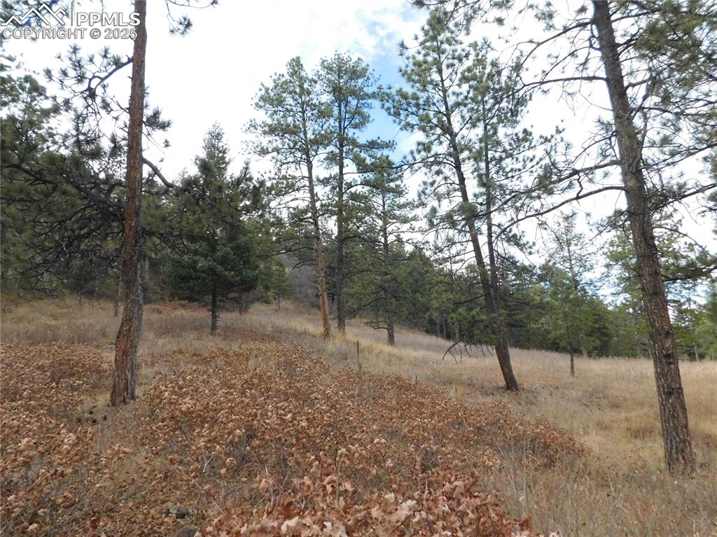 8055 Acoma Drive Larkspur CO 80118