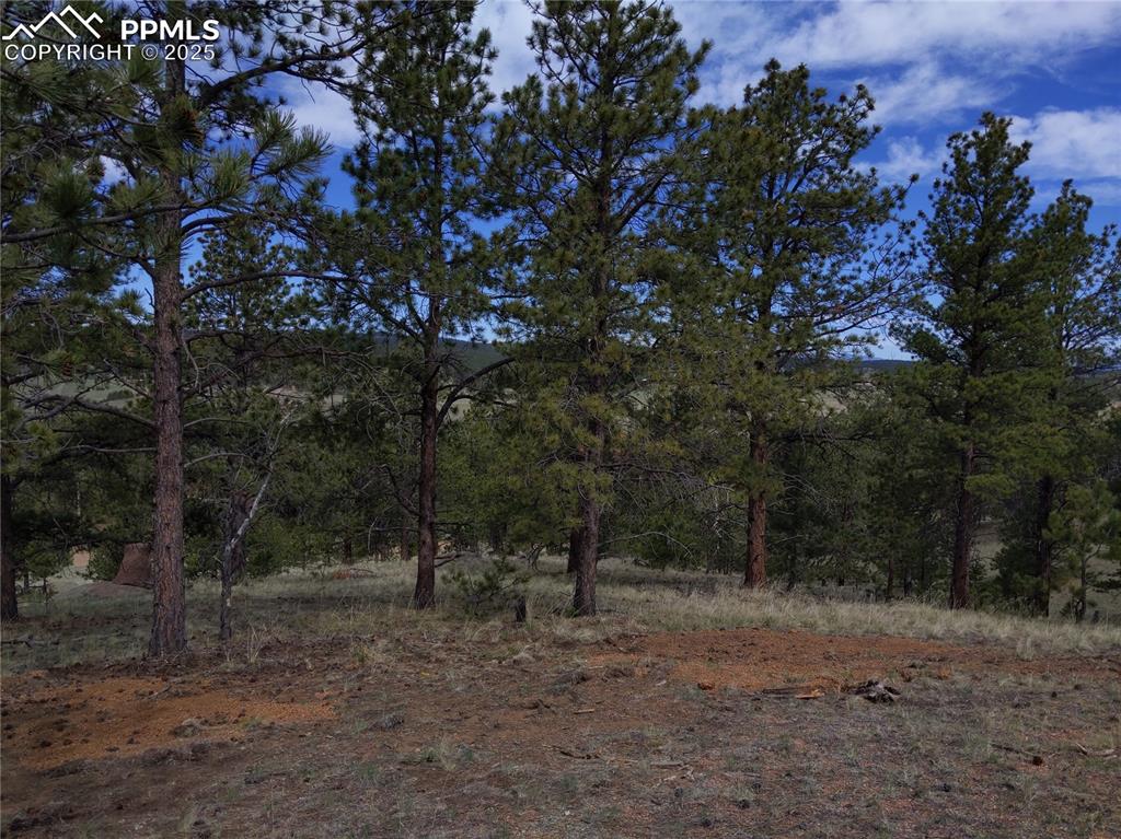 28 Pinnacle Circle Florissant CO 80816
