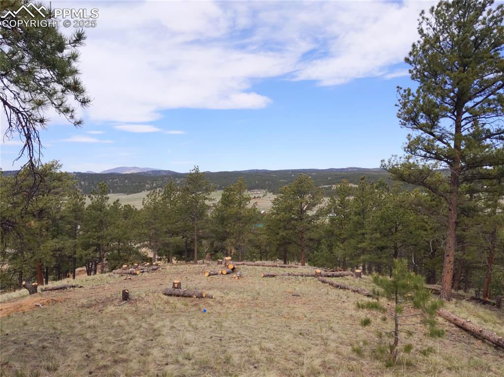 28 Pinnacle Circle Florissant CO 80816